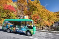 秋田のおすすめグルメと9月の最新空室情報