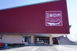 気仙沼でお土産を買うならここ！「海の市」