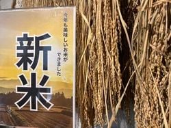 今年も「新米🌾」の季節がやって来ました！！
