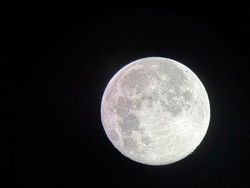明日は中秋の名月