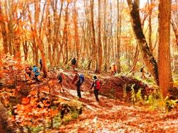 笹ヶ峰歩き旅【秋】はじまります！