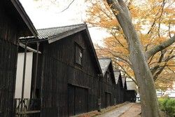 庄内のおすすめ紅葉スポット！～山居倉庫～
