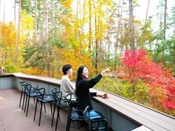紅葉に秋の味覚、これからの安曇野は楽しみがいっぱい！