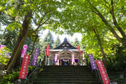 秋を感じながら歩く【パワースポット関山神社さんぽ】