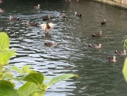 秋の下田をのんびりお散歩！ペリーロード