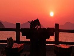 大久野島の綺麗な夕日