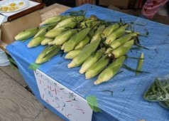 なぜ高原野菜はこんなに甘い？寒暖差が生む「おいしさの秘密」