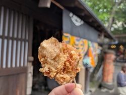 阿蘇市散策~揚げたて絶品コロッケと唐揚げの精肉店