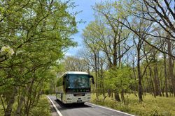 低公害バス　早朝便でます