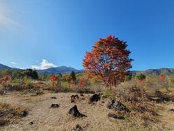 10月に訪れたい！乗鞍高原の絶景秋色スポット