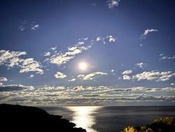 秋の南紀勝浦へ　澄んだ星空と可憐なアサマリンドウ