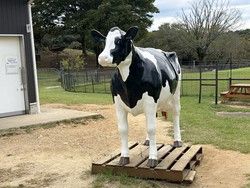 和歌山の自然に囲まれた黒沢牧場