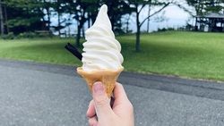 朝のレストラン新メニューイカの塩辛