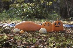 秋のマルシェ「くるまる、ほくほく。」