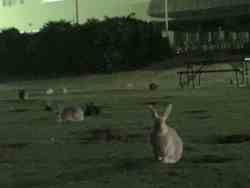 夜の運動会♪
