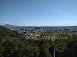願いが叶いますように…