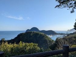 【朝の散歩会】嬉しいご縁と、ひょっこり可愛い「猫崎半島」