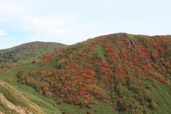 来たる３連休は網張へ