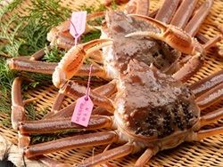 但馬各地で【カニ祭り】♪11月6日ズワイガニ漁解禁！