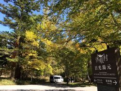 休暇村周辺の紅葉状況