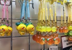 休暇村瀬戸内東予の売店をご紹介！みかん特集🍊