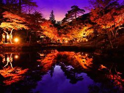 秋の弥彦へ！紅葉と菊を楽しむ秋旅