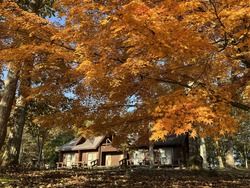 休暇村帝釈峡園内の紅葉スポットを紹介！