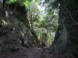 立派な切り通しがある熊野古道「駿田峠」