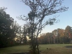休暇村陸中宮古周辺の植物について
