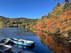 山の上の紅葉状況は？白駒池へ行ってきました。