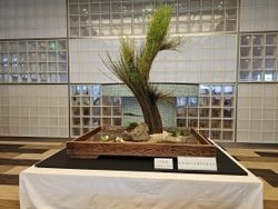 豊岡の歴史を紡ぐ『柳行李』