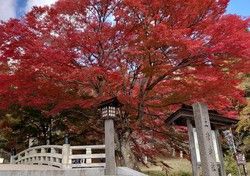 オススメの紅葉スポット土津（はにつ）神社