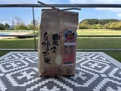 今年も入荷しました！！