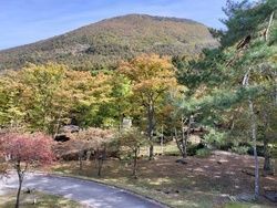 現在の紅葉の様子♪