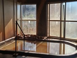 三島の隠れた名湯  みなくち荘の「赤湯」