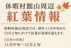 🍂『紅葉情報』周辺スポットご紹介