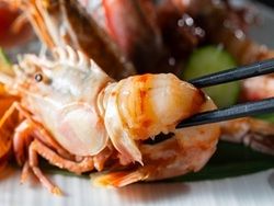 春旅は竹野海岸へ☆彡春グルメ・お得情報　