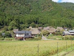 白く可憐なそばの花が満開の美山町へ!!!!