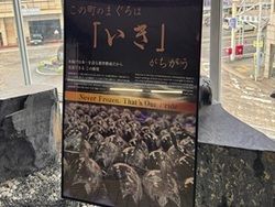 まぐろの町「那智勝浦町」へ！港町ならではの生まぐろの魅力
