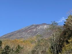 富士山の紅葉～雲の上の晴天～