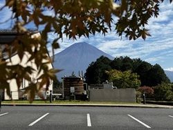 秋の富士と田貫湖の色づき