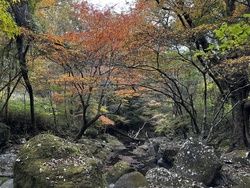普段は立ち入れない秘境の紅葉～マゼノ渓谷～