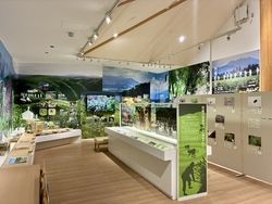 雨の日こそ楽しもう！南阿蘇ビジターセンターの魅力をご紹介