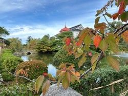 まもなく紅葉は街中へ♪～鶴岡公園～