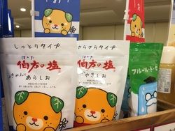 愛媛の大人気商品！「伯方の塩」