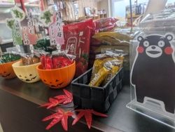 高森町散策~もうすぐハロウィン！秋のワクワクな思い出を！