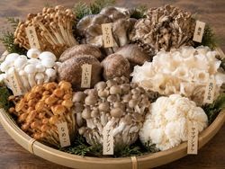 秋の味覚！秋に楽しみたいキノコの魅力🍄