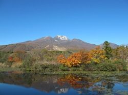 妙高・いもり池の紅葉がピークを迎えています！