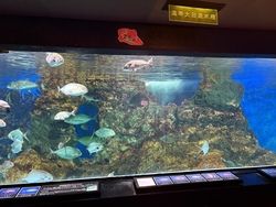 寺泊水族博物館に行ってきました🐟