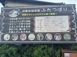 早生みかん狩りに行ってきました